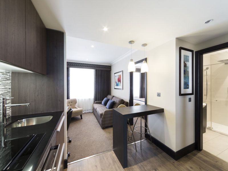 Deluxe suite kitchen and living area