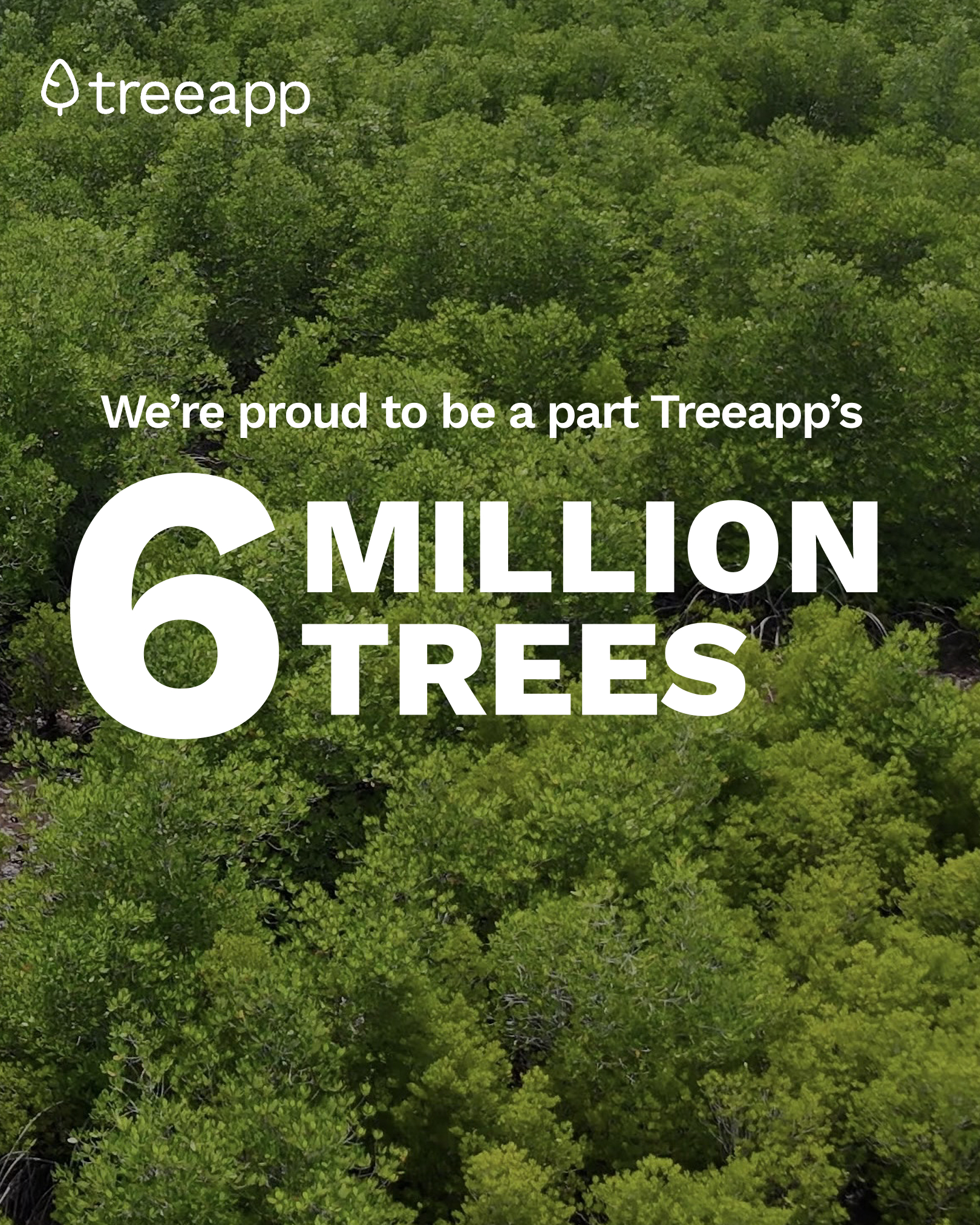 An ariel view of a forest canopy with the text ‘We are proud to be a part of Treeapp’s 6 million trees’ written in white overlayed on top.