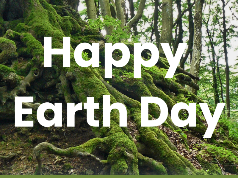 Happy Earth Day from Morrison Design 🌍