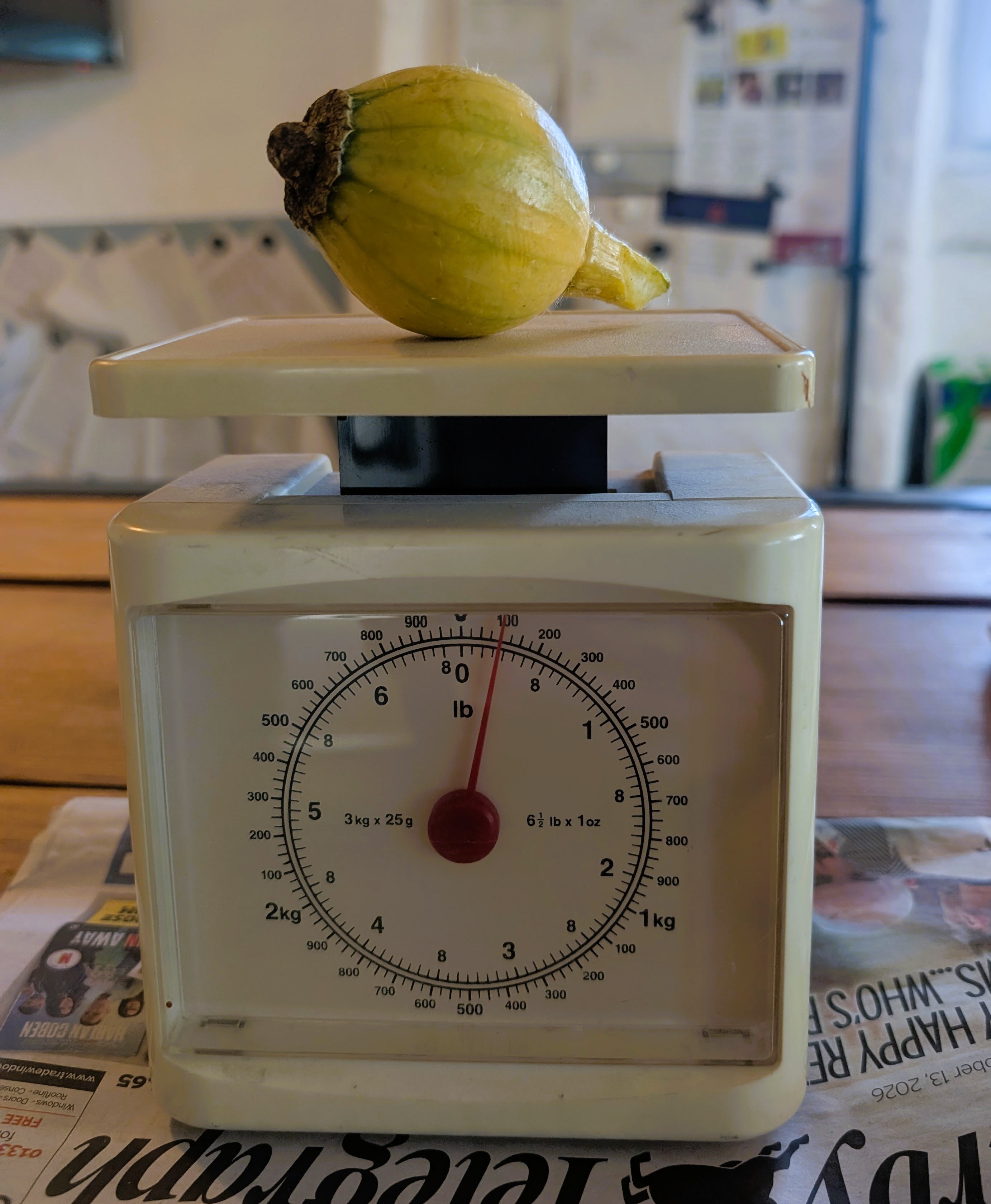 A picture of a pumpkin (which looks like an onion) on top of some analogue weighing scales which point to 100g. The scales are on top of a newspaper on the wooden kitchen table.
